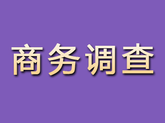 新田商务调查